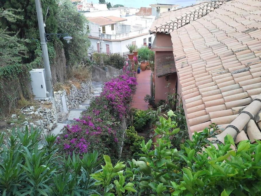 Casa Sarina Apartment *